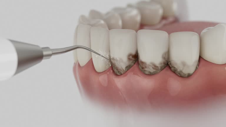 Reliable Dental contractor in Flat Rock, NC by Dentist Open Now
